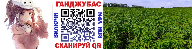 цена наркотик ОМГ ОМГ ссылки Канабис сатива Новый Оскол